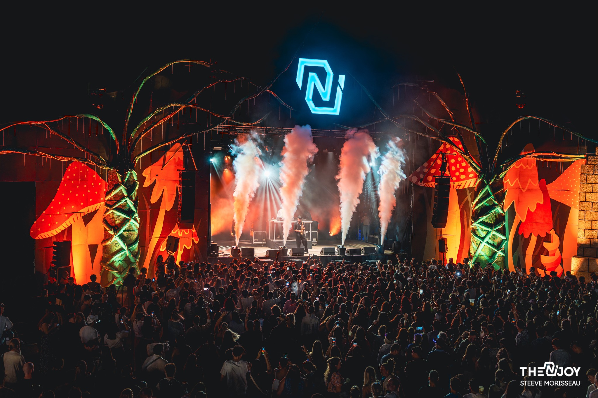The N'Joy
